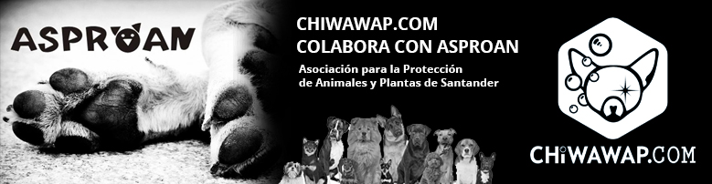 Chiwawap